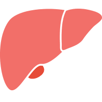 Hepatic