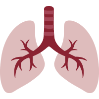 Pulmonary