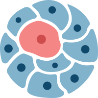 Cancer Stem Cell News