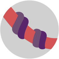 Cord Blood News