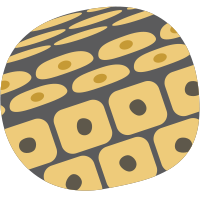 Dermal Cell News