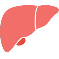 Hepatic Cell News