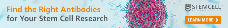 Find the Right Antibodies for Your Stem Cell Research. Learn More