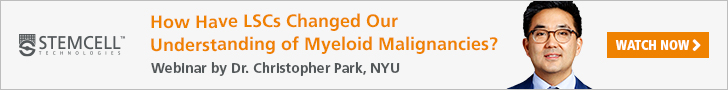 How have LSCs changed our understanding of myeloid malignancies? Webinar by Dr. Christopher Park, NYU