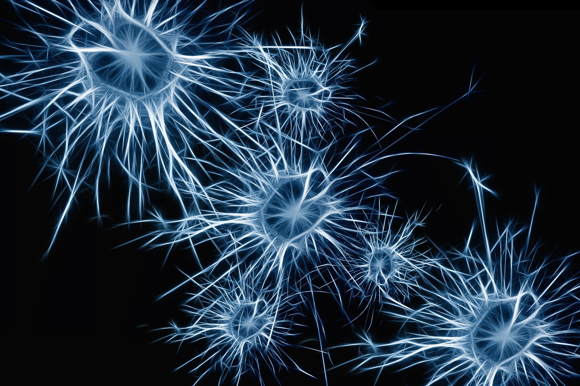 Neurons1