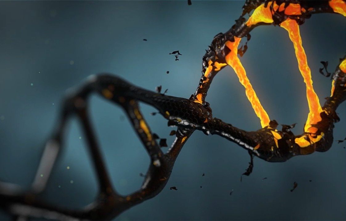 dna-1903875_1280-e1626214722501