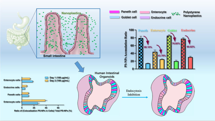 1-s2.0-S0048969722029084-ga1_lrg