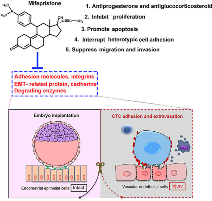 1-s2.0-S022352342200318X-ga1_lrg