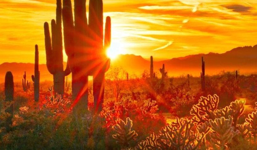 scottsdaleaz