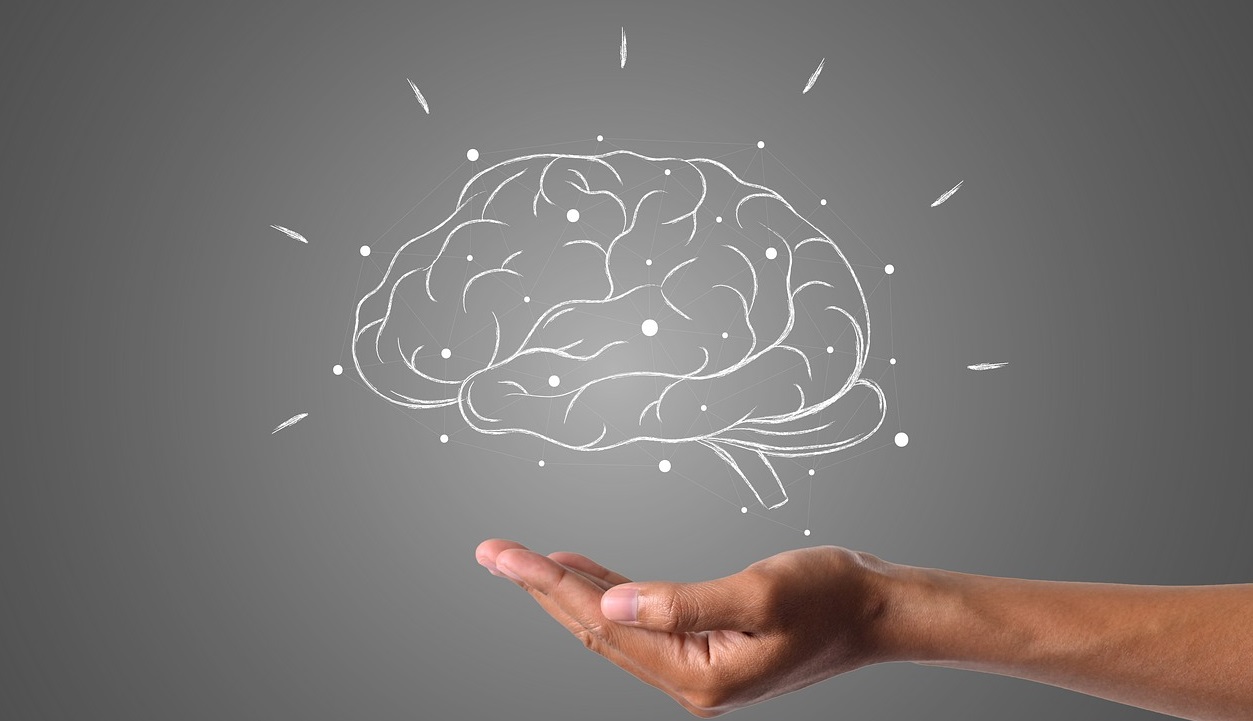 brain-gb0408b7b2_1280