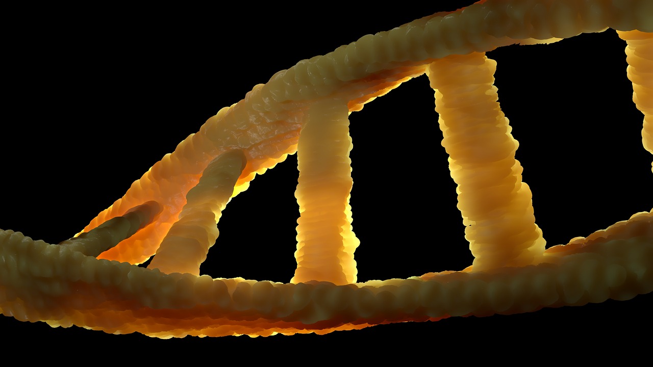 dna-ged8521468_1280