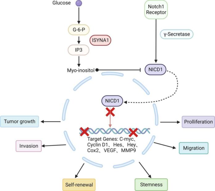 1-s2.0-S089865682300102X-ga1_lrg