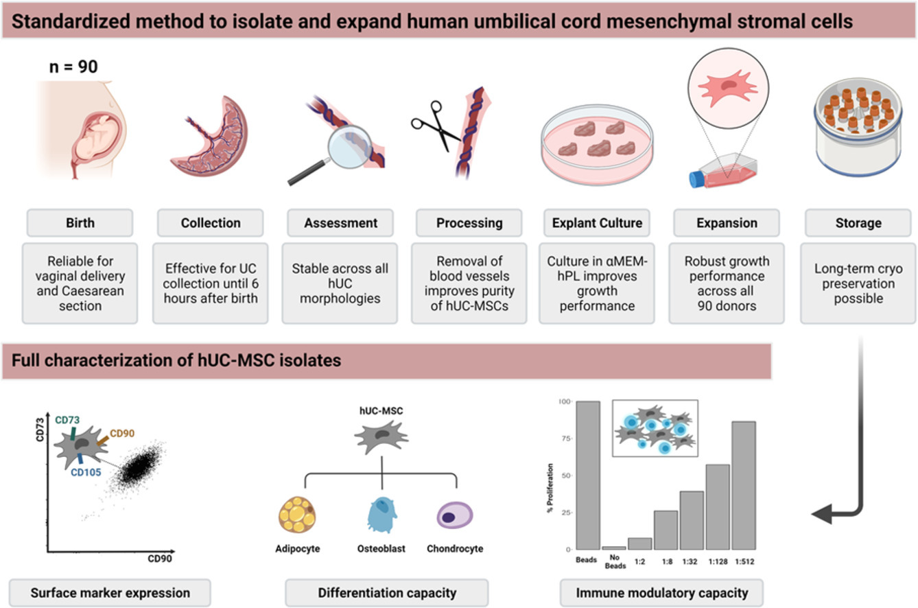 A Robust and Standardized Method to Isolate and Expand Mesenchymal