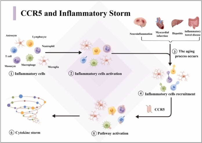 1-s2.0-S1568163724001041-ga1_lrg