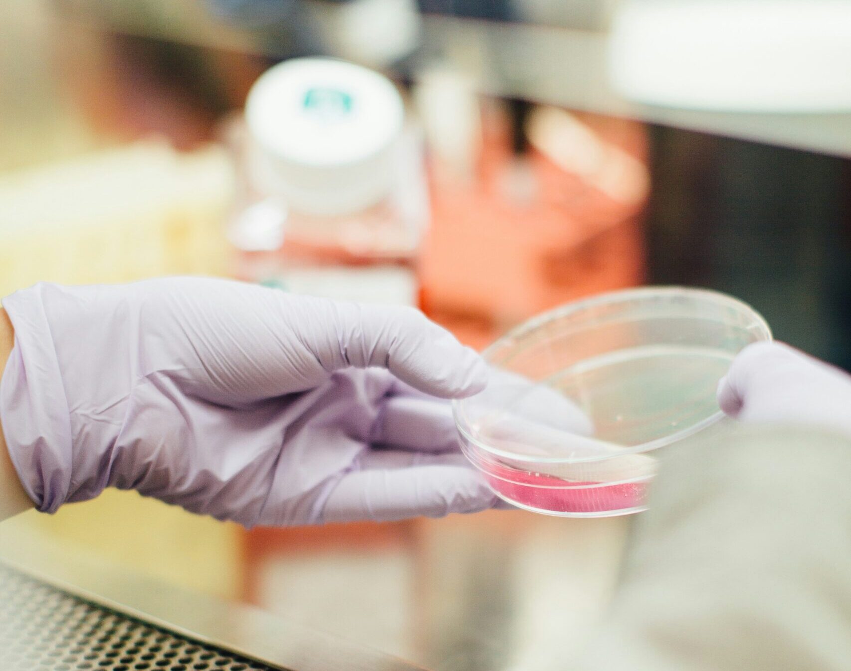 petri dish-fume hood-lab-cell culture