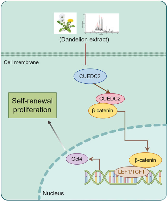 1-s2.0-S0378874125000911-ga1_lrg