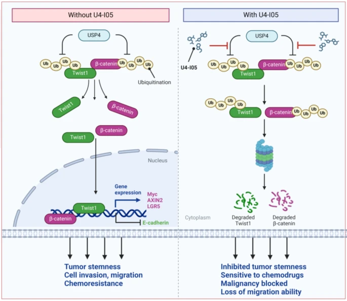 12967_2024_6001_Figa_HTML