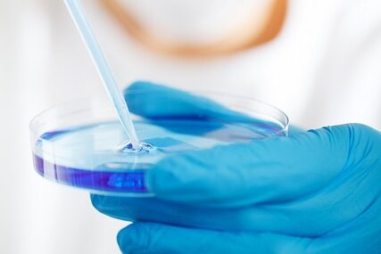 cell culture-petri dish