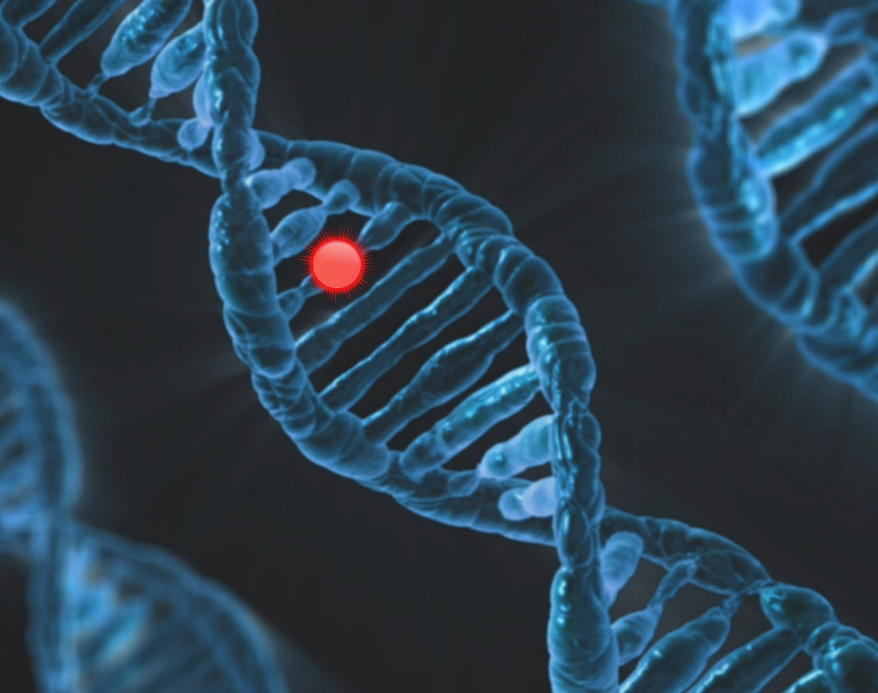 dna-chromosome-mutation