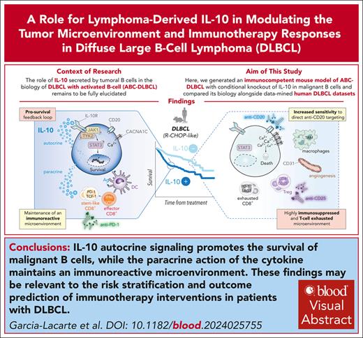 m_blood_bld-2024-025755-ga1